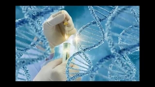 معرفی تفسیر جواب آزمایش ژنتیک بارداری