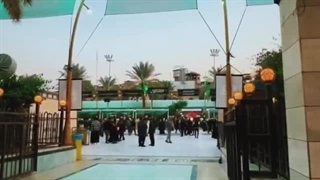 دام تنگ شده ارباب