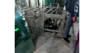 نصب ماشین شستشو شیشه دوجداره توسط تکنسین های مجرب گروه تولیدی بازرگانی کارا