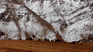 شب قبله گاه آخر