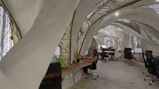 گروه معماری روث در شهر هنرهای AZULIK در دل جنگل های مکزیک آزمایشگاه فناوری و نوآوری خود را جای داده است