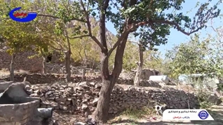 نماهنگ و موسیقی : کنج خرابات