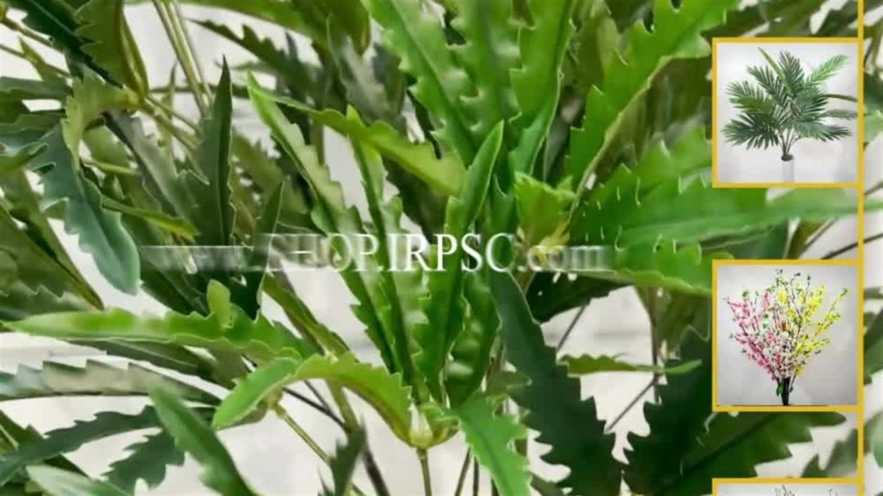 خرید درختچه مصنوعی آپارتمانی طرح گراس پخش از فروشگاه ملی ارتفاع 170 ...