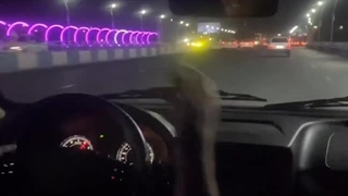 جان چشات دیوانه بازیات بد شری دستم داد :))) / رامین تجنگی : خواب