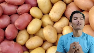 این دوازده نوع سبزی را در پائیز کشت کن | سبزی های که باید در خزان کشت کرد