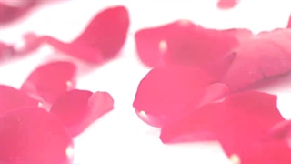 عطر های زنانه آزارو