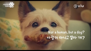 تریلر سریال یک روز خوب برای سگ بودن A good day to be a dog 2023 با بازی لی هیون وو ، چا اون وو ، پارک گیو یونگ