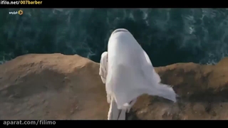 دانلود رایگان محمدرسول الله