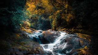 جنون بی‌نهایت - دکلمه شعرکوتاه آرمان پرناک