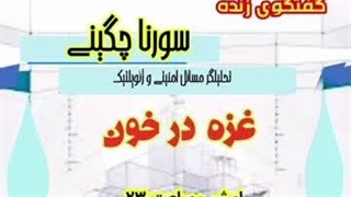 14020721: گفتگوی تحلیلی، غزه در خون - سورنا چگینی