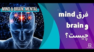 مهم‌ترین تفاوت‌های بین mind و brain