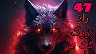 47راز بزرگ در مورد گرگ ها