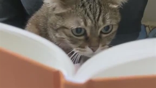 ۱۰۵۰