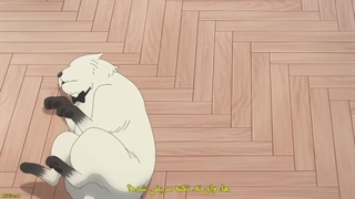 انیمه ی Spy x Family Season 2 خانواده x جاسوس فصل ۲ قسمت ۲ با زیرنویس فارسی چسبیده