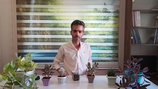 شدت نور گیاهان آپارتمانی یعنی چی؟
