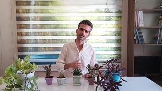 انواع نور و پنجره در خانه