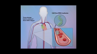 آزمایش ژنتیک در بارداری