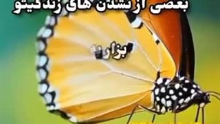 به خدا اعتماد کن 4