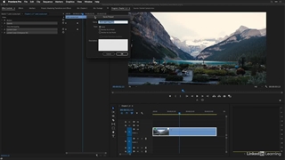 آموزش استادی در افکت ها و ترنزیشن های پریمیر پرو - گرافیسم