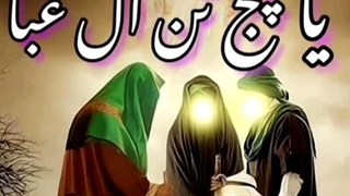 نو .رفیق شش ماهه دادهایی.داغ سه ساله داده هایی