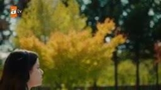 تماشای قسمت 28 سریال پرندگان آتش با زیرنویس فارسی در کانال تلگرام ما/لینک کانال توضیحات