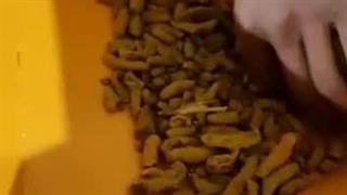 دستگاه آسیاب عطاری دو ورودی 3 اسب بخار 09138900047