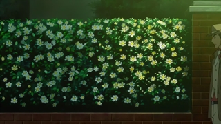 [AWHT] DARKER THAN BLACK - 08