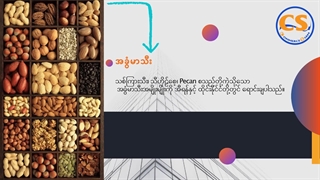 گروه بازرگانی سیام