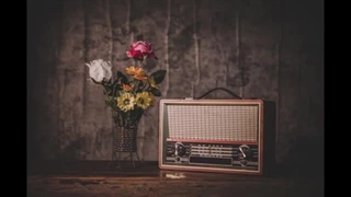 گل‌های رنگارنگ 512 [Golhaye Rangarang 512]