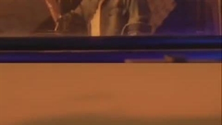 دانلود آهنگ جدید علی لهراسبی به نام حیفه