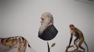 همه چیز در مورد رابطه احساسی ما با حیوانات. مغز موجودات زنده شبیه به همه؟