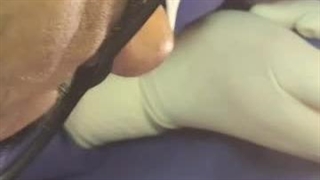 بهترین دندانپزشکی شرق