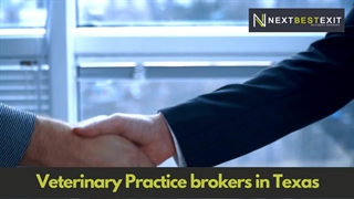 Veterinary Practice brokers in Texas | Next Best Exit
