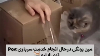 ویدیو منتشر شده از یونگی در سربازی