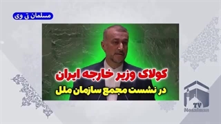 سخنرانی طوفانی امیرعبداللهیان در سازمان ملل درباره اسقاطیل و حماس