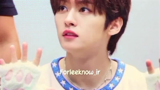 تولد خرگوش استی لینو مبارک