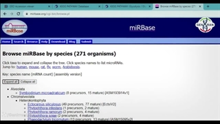 آموزش miRBase در بیوانفورماتیک