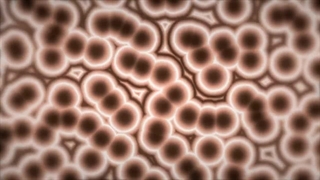 چطوری میشه طول عمر بیشتری داشت؟