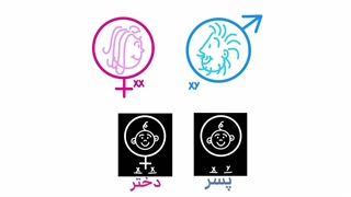 می دونستی حیوانات هم تغییر جنسیت میدن !؟