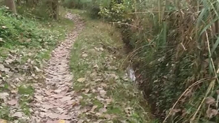 آرزو حاجی خانی، گیلان، لاکان ، سلکی سر