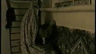 sh6