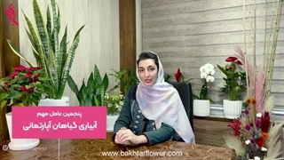 نکات مهم و اصولی نگهداری گیاهان آپارتمانی