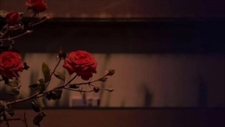 Iraj - Sham O Gol O Parvaneh    شمع و گل و پروانه - استاد ایرج