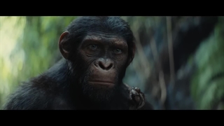 تیزر فیلم Kingdom of the Planet of the Apes