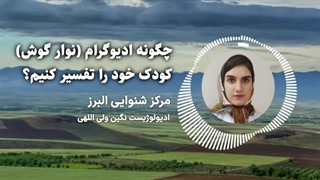 چگونه ادیوگرام (نوار گوش) کودک خود را تفسیر کنیم؟