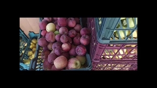 111- توزیع میوه اهدایی نیکوکار عزیزمان مهر 1402