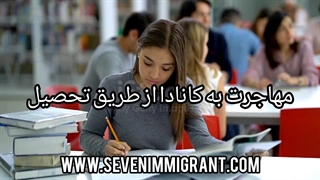 گروه مهاجرتی سون