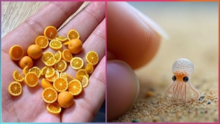 خلاقیت های مینیاتوری شگفت انگیز