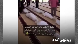 به تازگی ویدئویی در توئیتر باعنوان مرگ ساختگی وایرال شده است. در این پست به بررسی این ویدئو می‌پردازیم.