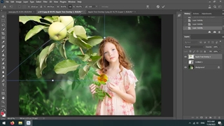 بک گراند باغ سیب سبز